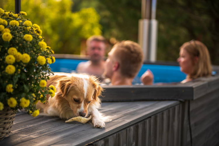Truffe | De hottub verenigt het gezin | Kirami