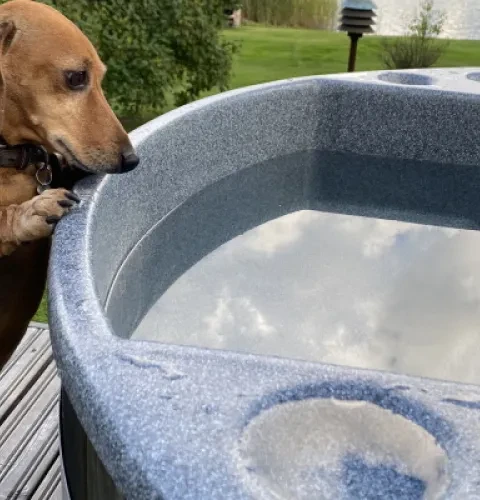 Een hottub is ook fijn voor honden | Kirami