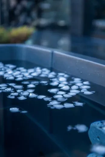 Comfort BlackIce S - BlackLeather, grijs